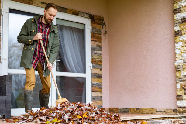 Basement Cleanout Services in Millsboro, DE